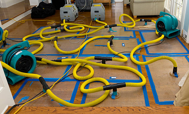 Professional Basement Flood Cleanup technician working in Tippecanoe, OH